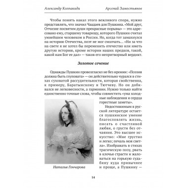 Досье на Пушкина. Замостьянов А.А., Колпакиди А.И.